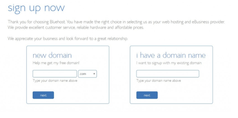 bluehost domain name